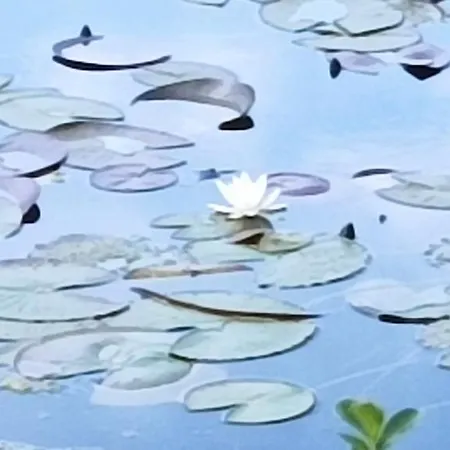 Le Apartment Querce (Florence)