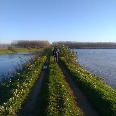 Apartment Le Querce (Florence)