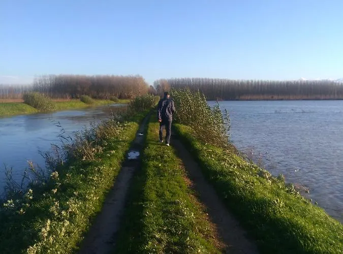 Apartment Le Querce (Florence)